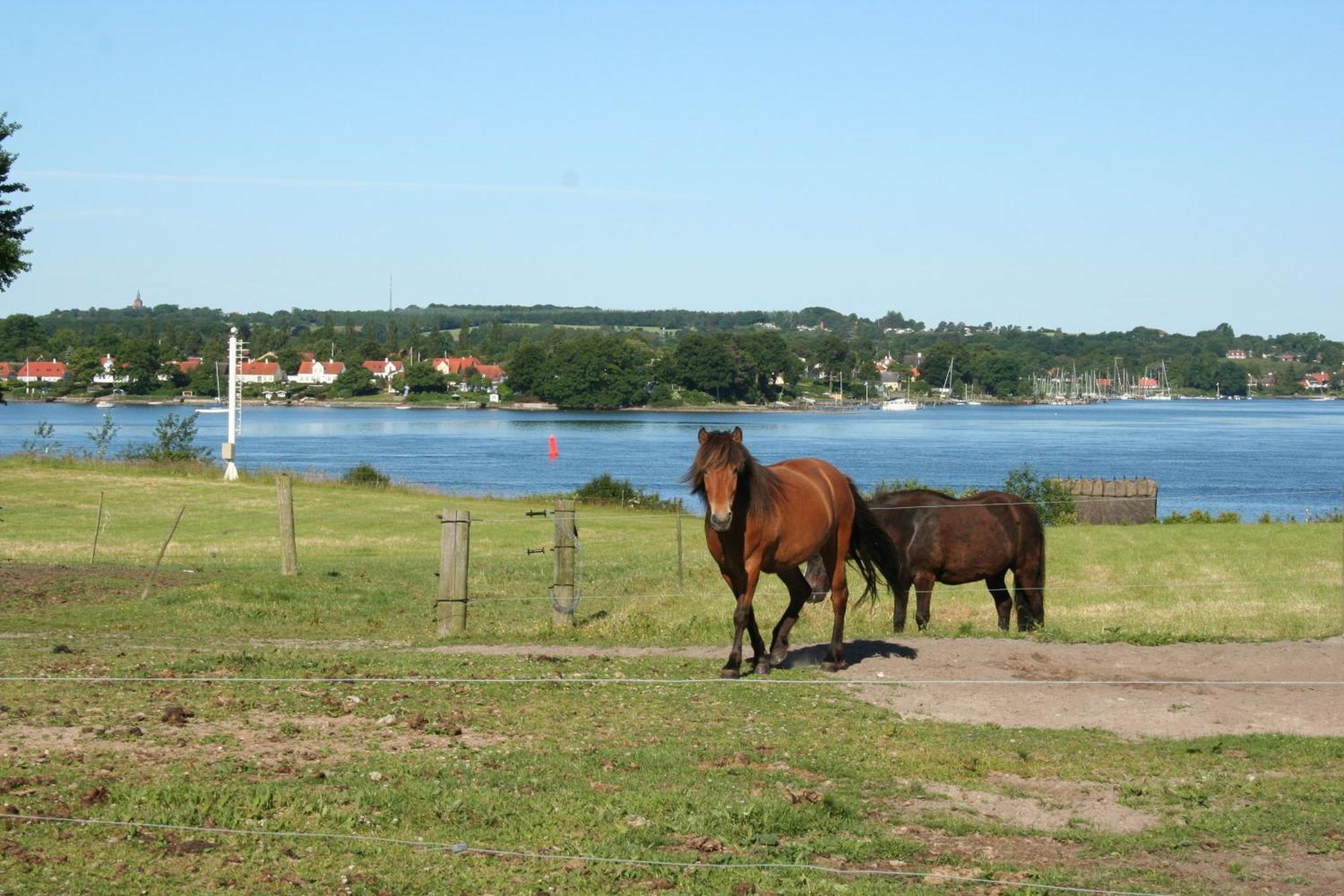 Grastenhus Guesthouse Thurø By Extérieur photo